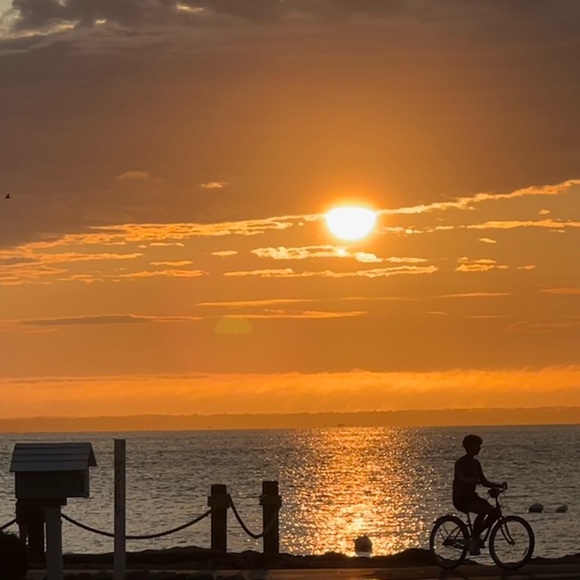 Meet your Posher, Karen - Picture 1 of 4